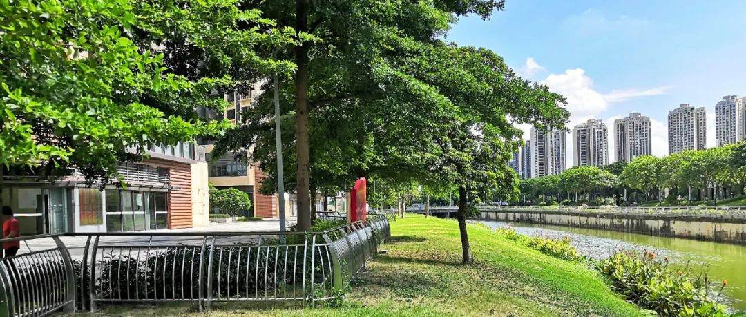 黄埔涌（绿岛湖都市产业区河段），你变了！